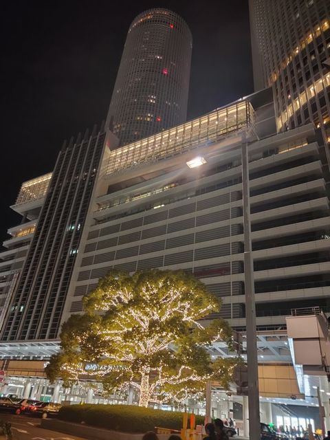IMG20191124211535.jpg
