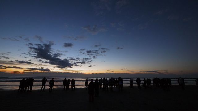 P1360691.jpg